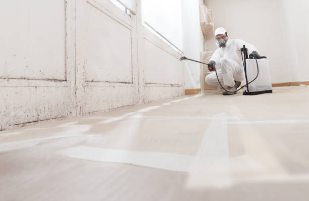 24/7 Emergency Basement Mold Remediation experts in Takoma Park, MD
